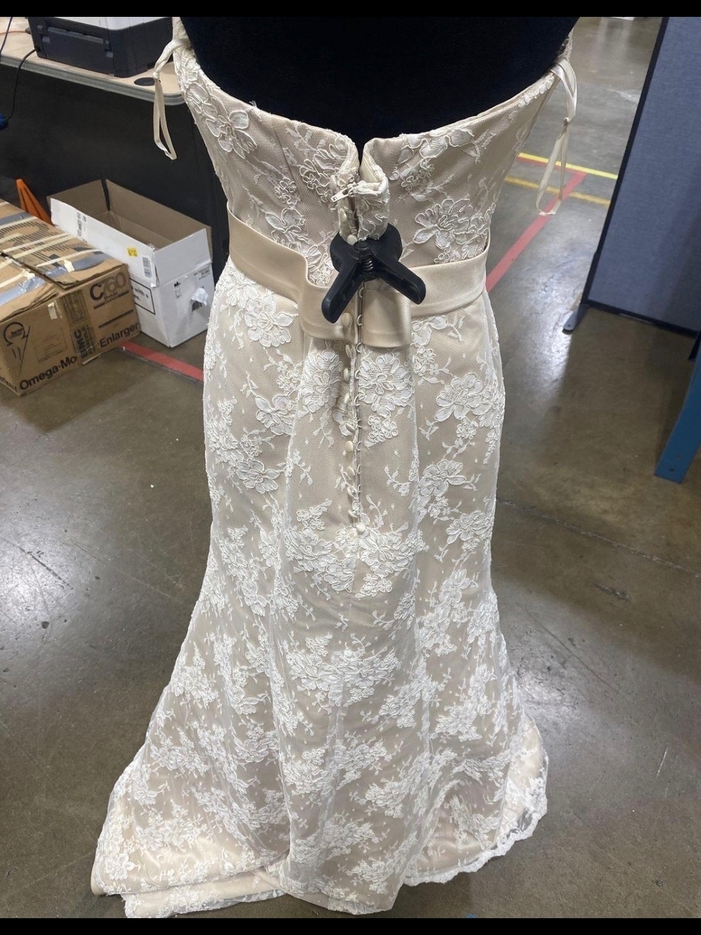 VENUS Strapless Lace Gown in Ivory and Champagne with Beaded Sash Wedding - Picture 7 of 7